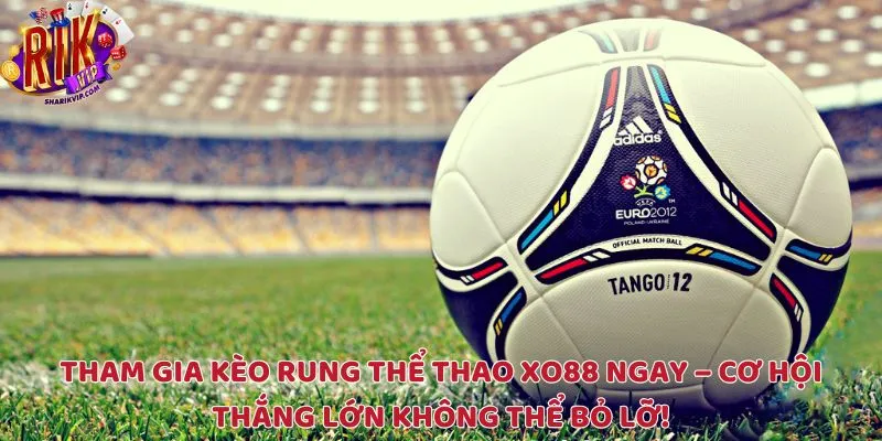 Tham gia ngay kèo rung thể thao XO88